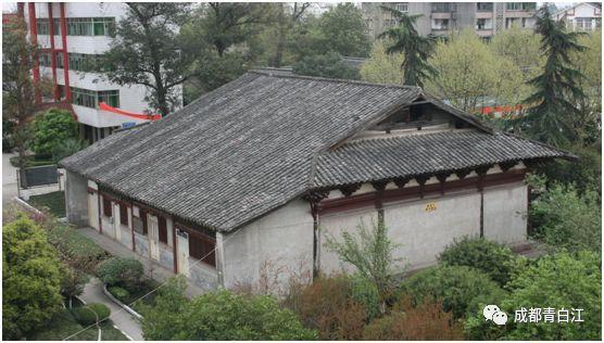 吃水果的蛇