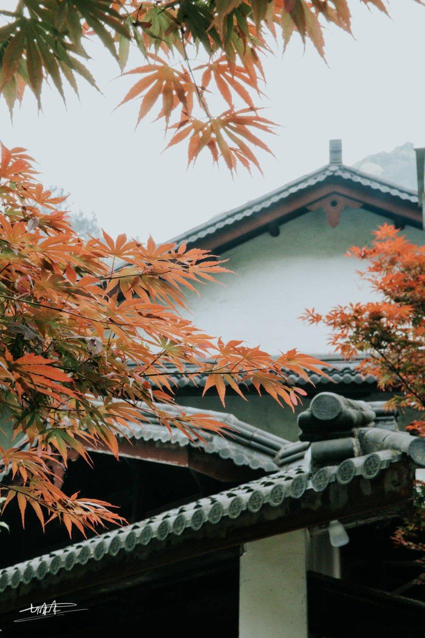 沙滩度假