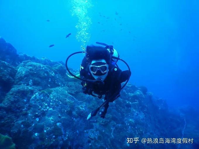 洪洞大槐树，全世界只要有华人的地方，就有这里的后裔！游戏画面