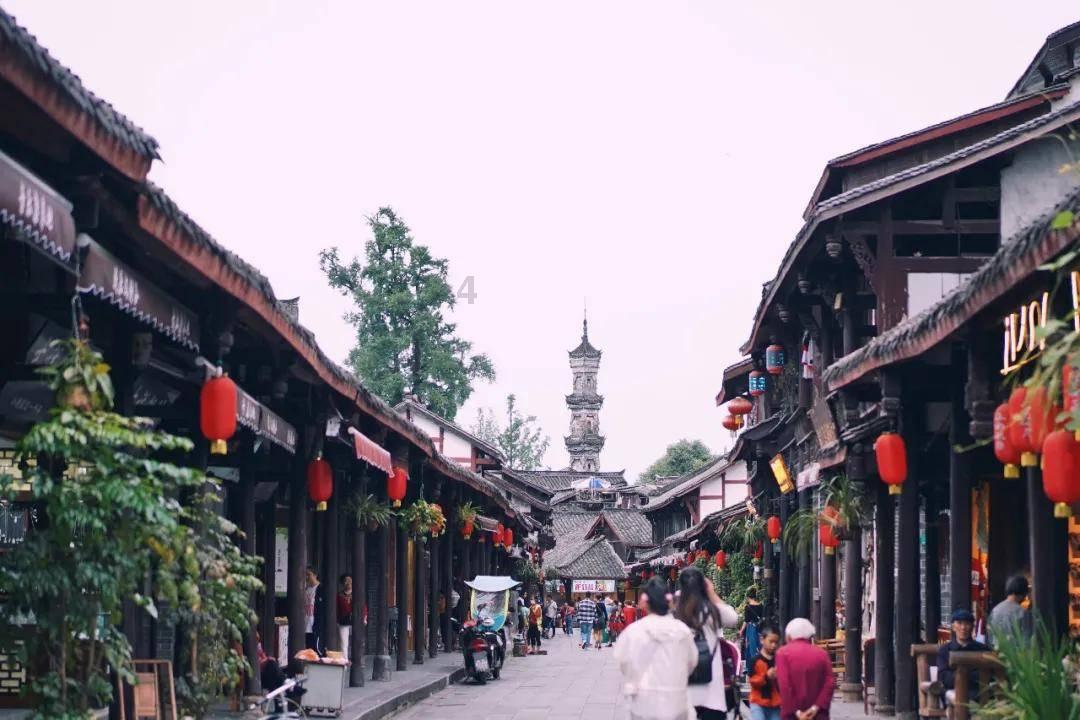美人鱼的聚会