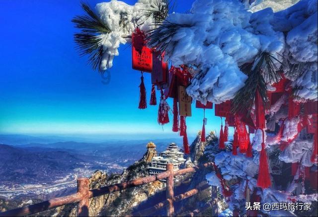 雪落千层入画来 看银装素裹的翠云廊